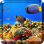 Ocean Fish Live Wallpaper Free