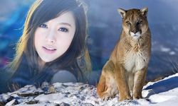 Wildlife Photo Frame Screenshot APK 2