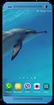 Dolphins +Sound Live Wallpaper ekran görüntüsü APK 8