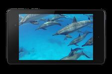 Dolphins +Sound Live Wallpaper ekran görüntüsü APK 3