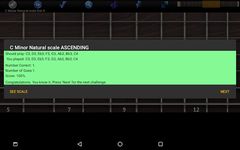 Tangkapan layar apk skala gitar & chords gratis 12