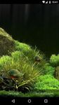 Скриншот 4 APK-версии 3D Fish Aquarium Wallpaper HD