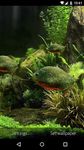 Скриншот 3 APK-версии 3D Fish Aquarium Wallpaper HD