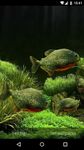 Скриншот 2 APK-версии 3D Fish Aquarium Wallpaper HD