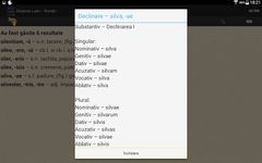 Dictionar Latin Roman Screenshot APK 1