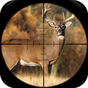 Whitetail Deer Hunting Calls