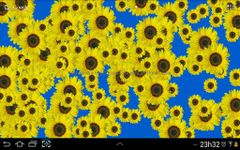 Imagem 4 do Sunflower Live Wallpaper Free