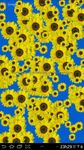Imagem 3 do Sunflower Live Wallpaper Free