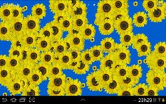 Imagem 2 do Sunflower Live Wallpaper Free