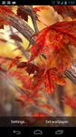 Autumn Tree Live Wallpaper στιγμιότυπο apk 7