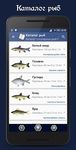 Скриншот  APK-версии Справочник рыбака
