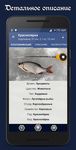 Скриншот 10 APK-версии Справочник рыбака