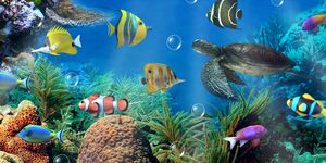 Aquarium live wallpaper capture d'écran apk 13