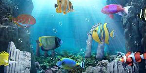 Aquarium live wallpaper capture d'écran apk 14