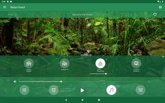 Relájese Bosque captura de pantalla apk 4