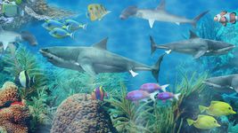 Tangkapan layar apk Shark akuarium hidup wallpaper 7