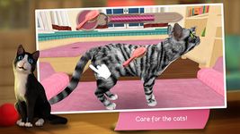 CatHotel - Pflege süße Katzen Bild 12