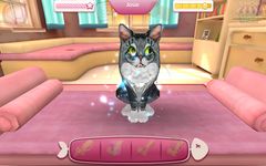 Gambar CatHotel - Hotel for cute cats 7