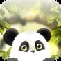 Panda Chub Live Wallpaper Free apk icon