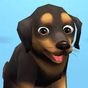 Icône de Pet Run - Puppy Dog Game