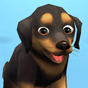 Ikon Pet Run - Puppy Dog Game