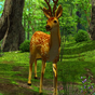 Icône de 3D Deer-Nature Live Wallpaper