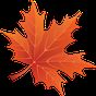 Ícone do apk 3D Folhas de Bordo de Outono
