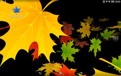 Imagem 6 do 3D Folhas de Bordo de Outono