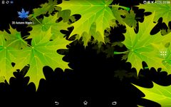 Imagem 5 do 3D Folhas de Bordo de Outono