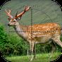 Deer Sniper: Hunting Game