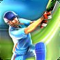 Icône de Smash Cricket