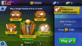 Smash Cricket zrzut z ekranu apk 5