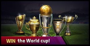 Smash Cricket screenshot APK 11