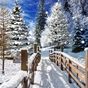 Εικονίδιο του Winter Landscapes Wallpaper