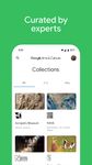 Google Arts & Culture captura de pantalla apk 9