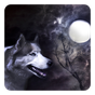 Lobo y luna Fondo Animado APK