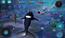 Картинка 2 Killer Whale Beach Attack 3D
