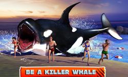 Картинка 14 Killer Whale Beach Attack 3D