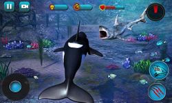 Картинка 10 Killer Whale Beach Attack 3D