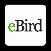 eBird by Cornell Lab apk icon