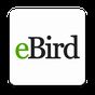 eBird by Cornell Lab icon