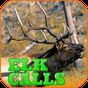 Elk Hunting Calls