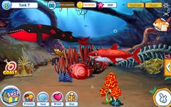 Fish Adventure Seasons Bild 7