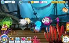 Fish Adventure Seasons Bild 5