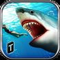 Angry Shark 2016 APK Simgesi