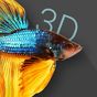 Betta Fish 3D Simgesi