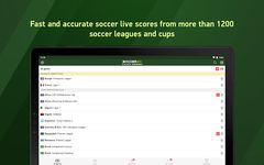 Soccer 24 - soccer live scores image 3