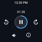 Easy Voice Recorder Pro screenshot apk 3