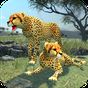 Clan of Cheetahs apk icono