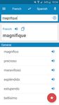 Dictionnaire français-espagnol capture d'écran apk 3